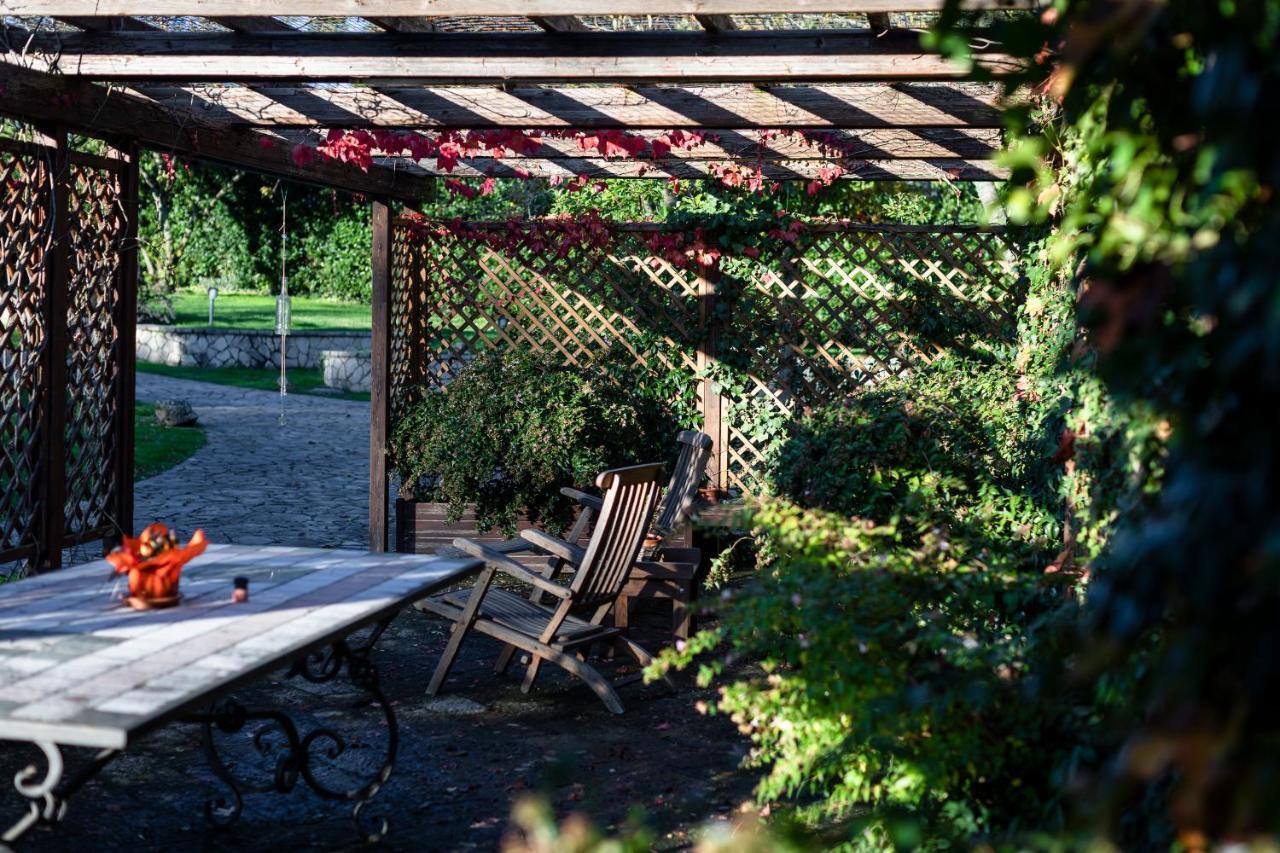 Le Fontanelle Apartment Bagnoregio Exterior photo